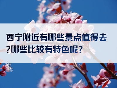 西宁附近有哪些景点值得去？哪些比较有特色呢？