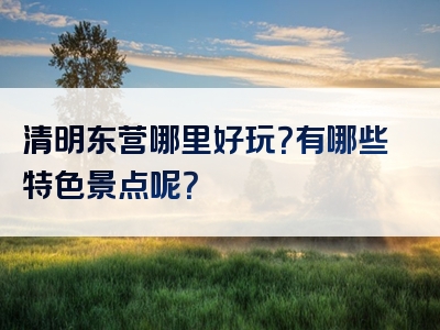 清明东营哪里好玩？有哪些特色景点呢？