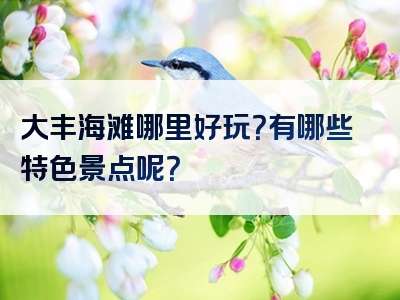 大丰海滩哪里好玩？有哪些特色景点呢？