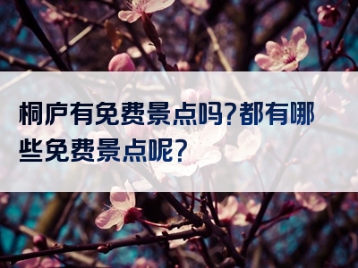 桐庐有免费景点吗？都有哪些免费景点呢？