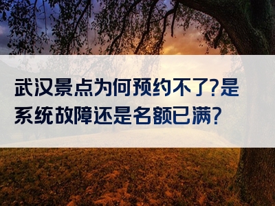 武汉景点为何预约不了？是系统故障还是名额已满？