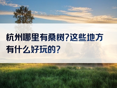 杭州哪里有桑树？这些地方有什么好玩的？
