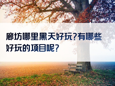 廊坊哪里黑天好玩？有哪些好玩的项目呢？