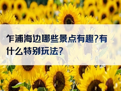 乍浦海边哪些景点有趣？有什么特别玩法？