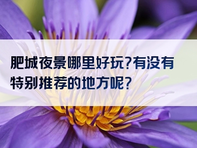肥城夜景哪里好玩？有没有特别推荐的地方呢？