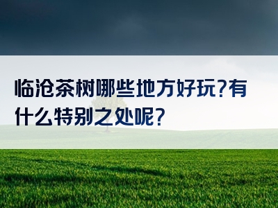 临沧茶树哪些地方好玩？有什么特别之处呢？