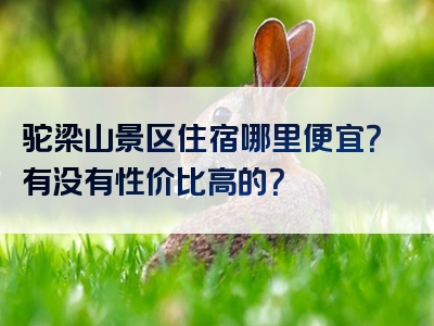 驼梁山景区住宿哪里便宜？有没有性价比高的？