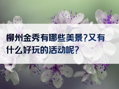 柳州金秀有哪些美景？又有什么好玩的活动呢？