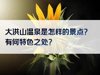 大洪山温泉是怎样的景点？有何特色之处？