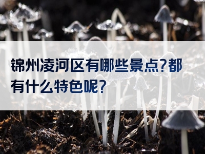 锦州凌河区有哪些景点？都有什么特色呢？