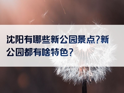 沈阳有哪些新公园景点？新公园都有啥特色？