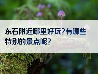 东石附近哪里好玩？有哪些特别的景点呢？