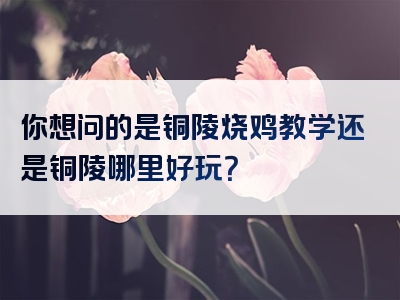 你想问的是铜陵烧鸡教学还是铜陵哪里好玩？