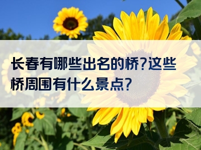 长春有哪些出名的桥？这些桥周围有什么景点？