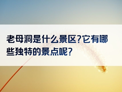 老母洞是什么景区？它有哪些独特的景点呢？