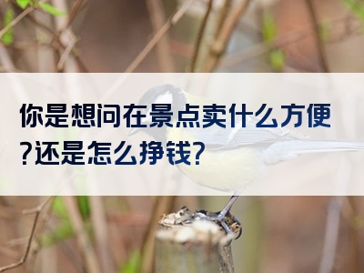 你是想问在景点卖什么方便？还是怎么挣钱？