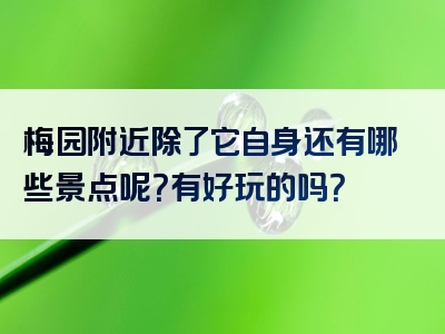 梅园附近除了它自身还有哪些景点呢？有好玩的吗？