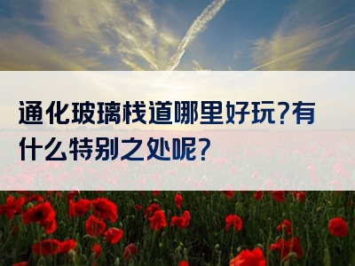 通化玻璃栈道哪里好玩？有什么特别之处呢？