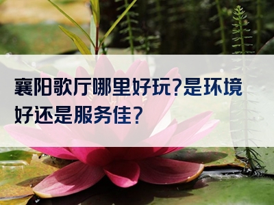 襄阳歌厅哪里好玩？是环境好还是服务佳？