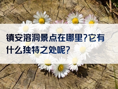 镇安溶洞景点在哪里？它有什么独特之处呢？