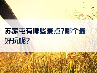 苏家屯有哪些景点？哪个最好玩呢？