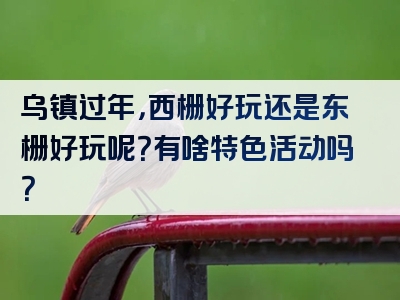 乌镇过年，西栅好玩还是东栅好玩呢？有啥特色活动吗？