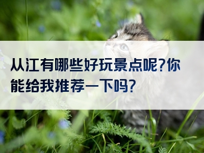 从江有哪些好玩景点呢？你能给我推荐一下吗？