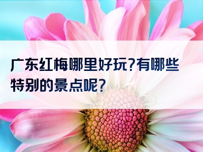 广东红梅哪里好玩？有哪些特别的景点呢？