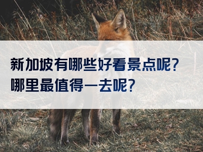 新加坡有哪些好看景点呢？哪里最值得一去呢？