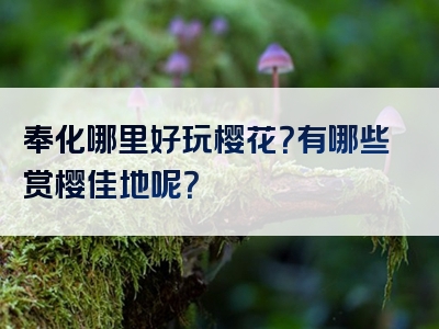 奉化哪里好玩樱花？有哪些赏樱佳地呢？