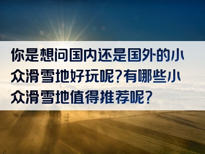 你是想问国内还是国外的小众滑雪地好玩呢？有哪些小众滑雪地值得推荐呢？