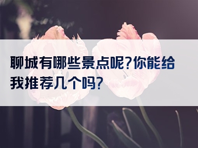聊城有哪些景点呢？你能给我推荐几个吗？