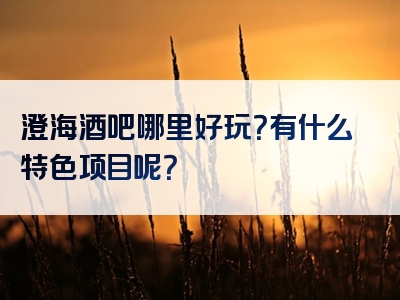 澄海酒吧哪里好玩？有什么特色项目呢？
