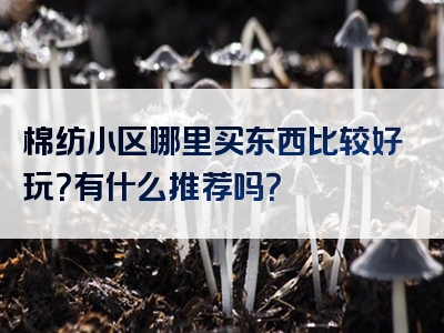 棉纺小区哪里买东西比较好玩？有什么推荐吗？