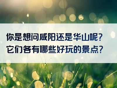 你是想问咸阳还是华山呢？它们各有哪些好玩的景点？