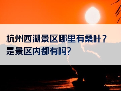 杭州西湖景区哪里有桑叶？是景区内都有吗？