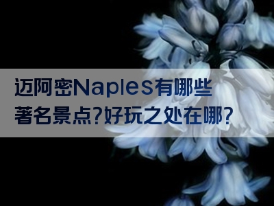 迈阿密Naples有哪些著名景点？好玩之处在哪？