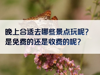 晚上合适去哪些景点玩呢？是免费的还是收费的呢？