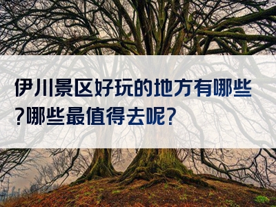 伊川景区好玩的地方有哪些？哪些最值得去呢？