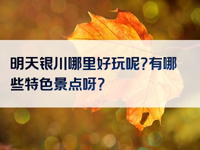 明天银川哪里好玩呢？有哪些特色景点呀？