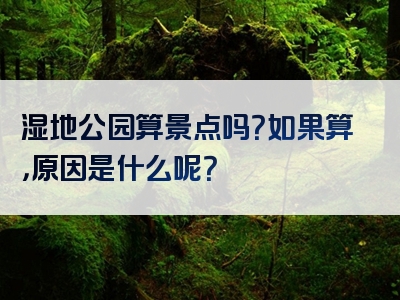 湿地公园算景点吗？如果算，原因是什么呢？