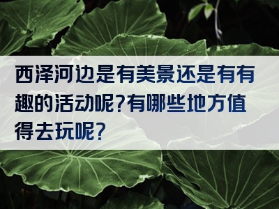 西泽河边是有美景还是有有趣的活动呢？有哪些地方值得去玩呢？