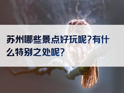 苏州哪些景点好玩呢？有什么特别之处呢？