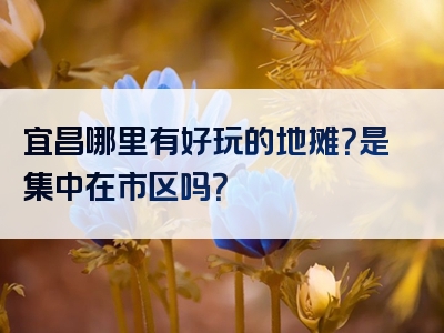 宜昌哪里有好玩的地摊？是集中在市区吗？