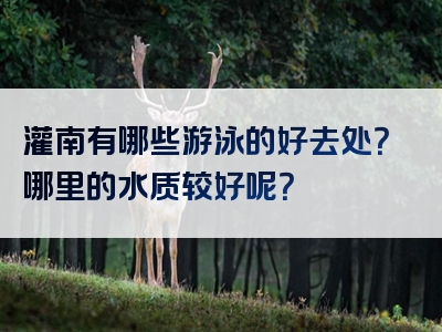 灌南有哪些游泳的好去处？哪里的水质较好呢？