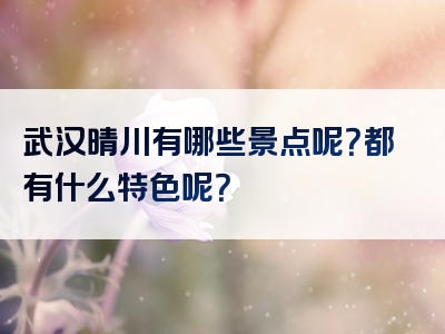 武汉晴川有哪些景点呢？都有什么特色呢？