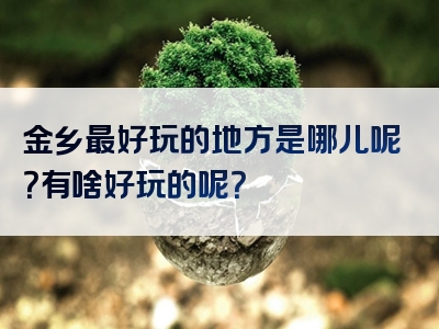 金乡最好玩的地方是哪儿呢？有啥好玩的呢？