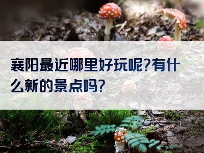 襄阳最近哪里好玩呢？有什么新的景点吗？