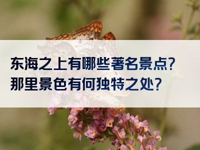 东海之上有哪些著名景点？那里景色有何独特之处？