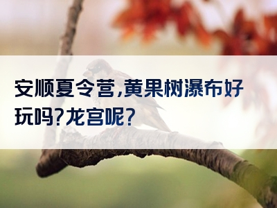 安顺夏令营，黄果树瀑布好玩吗？龙宫呢？